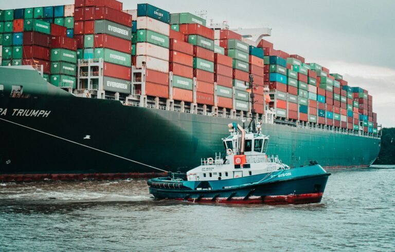 Lesson 05: Managing a Healthy Project Supply Chain